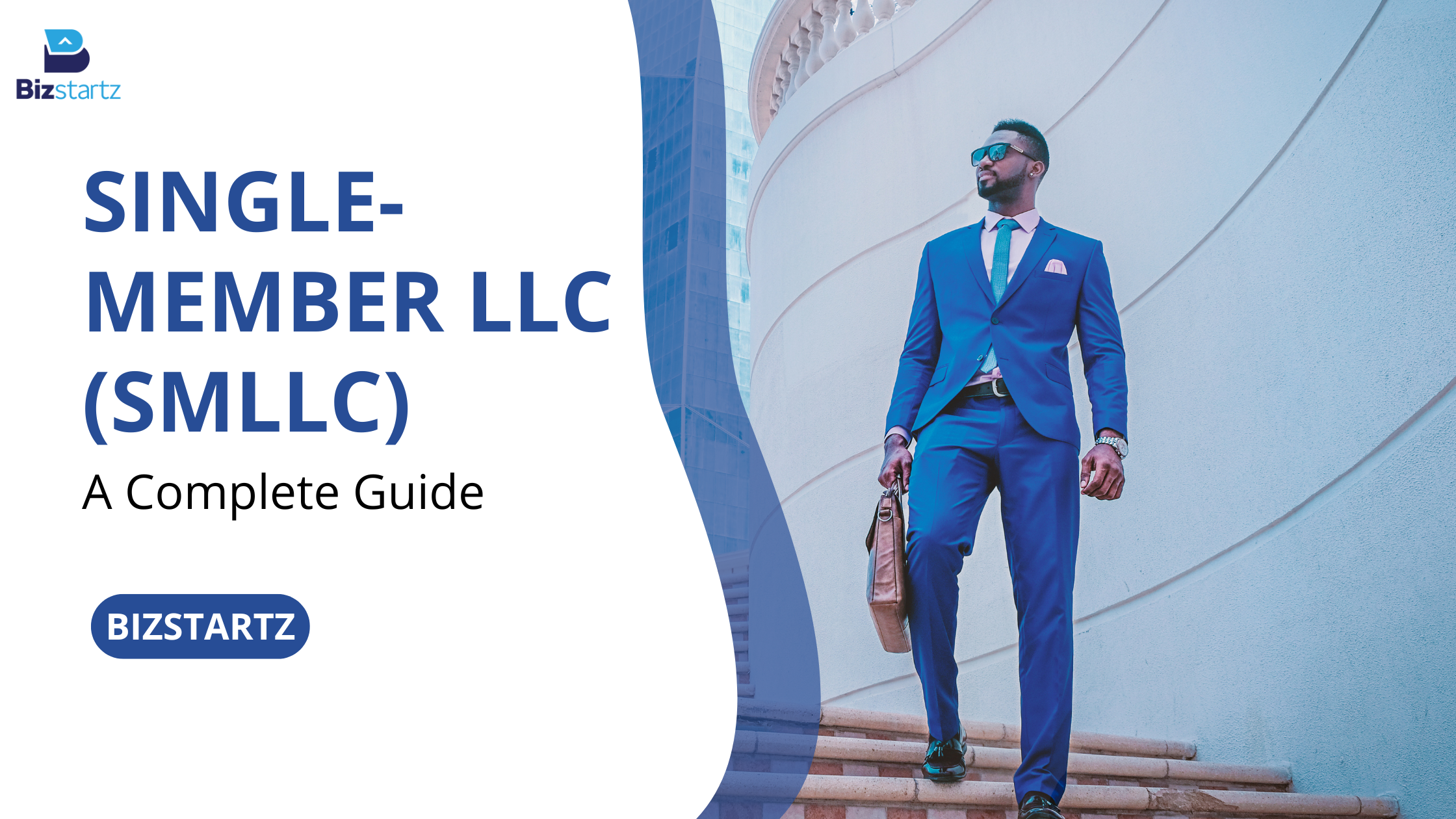 Single-Member LLC (SMLLC)