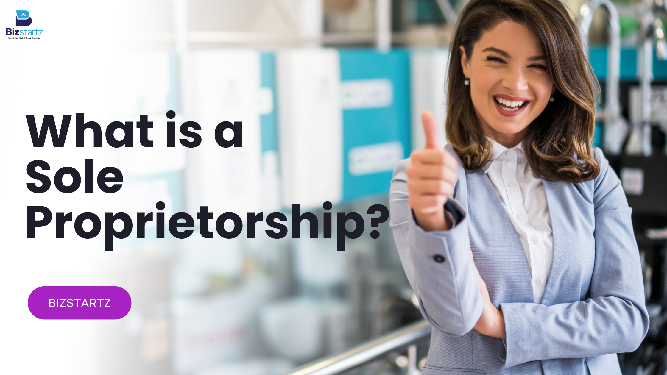What is a Sole Proprietorship