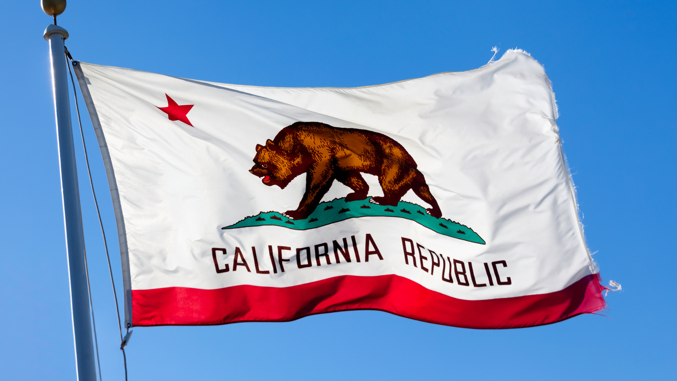 California Business Entity Search