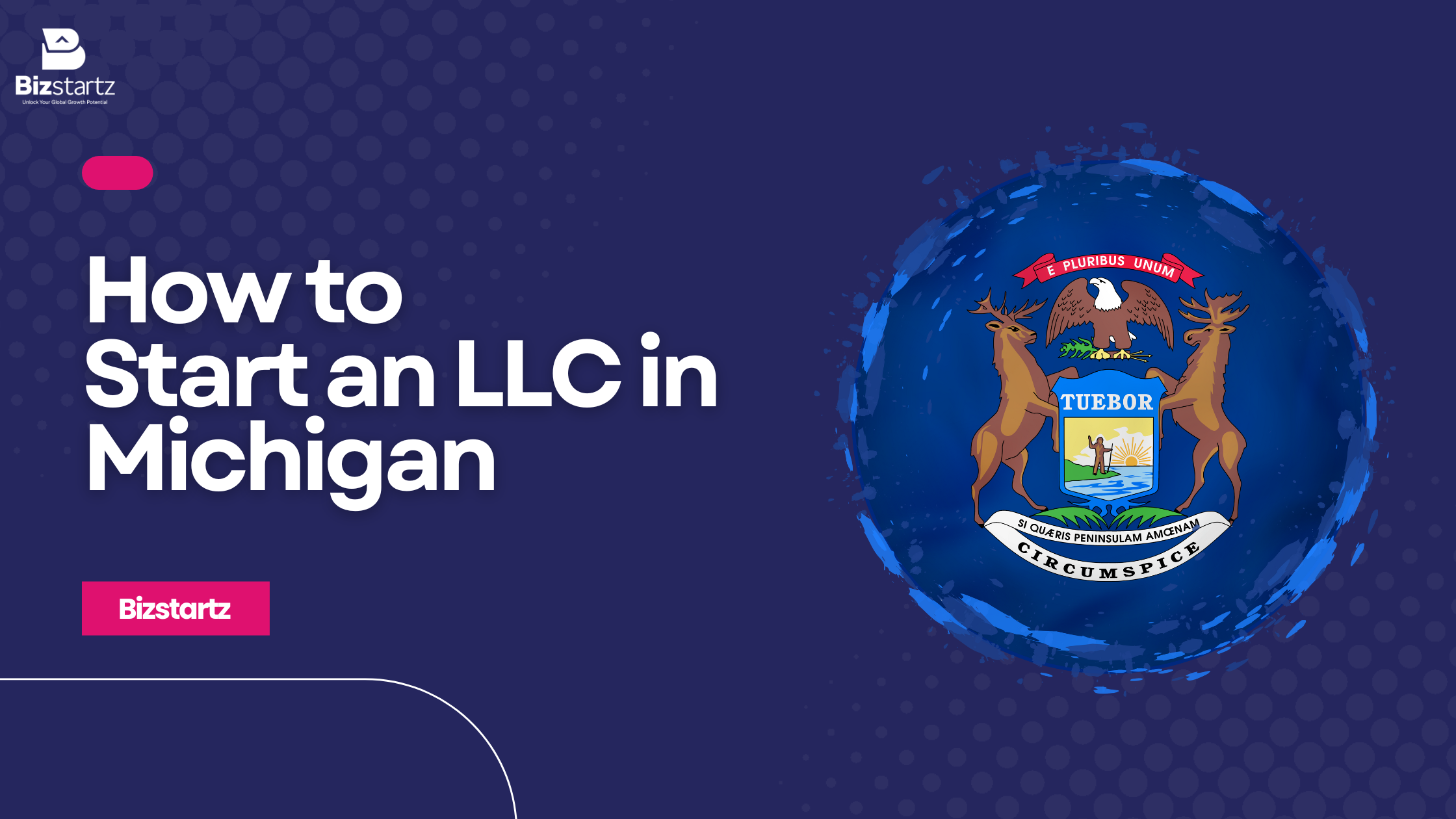 Form an LLC in Michigan