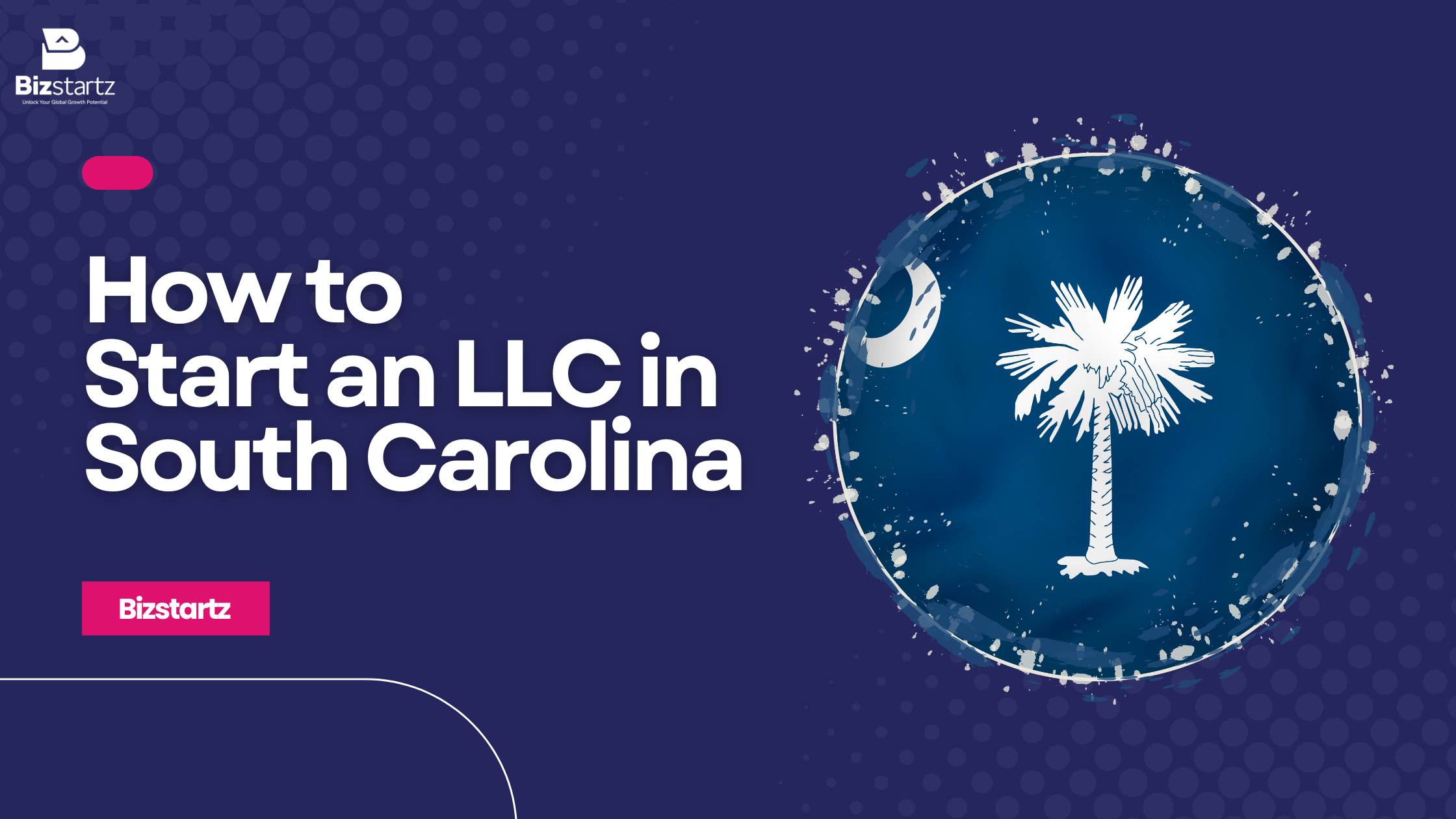 Form an LLC in South Carolina
