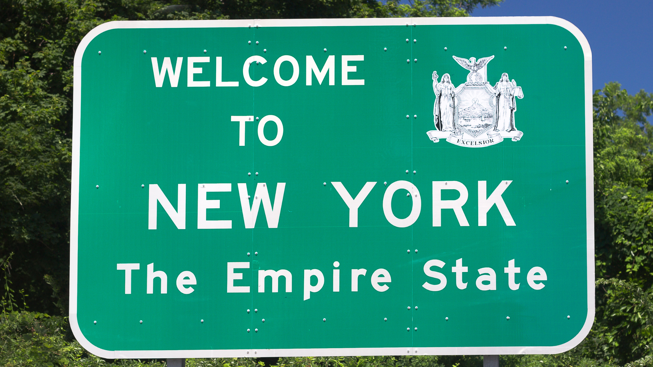 New York Business Entity Search