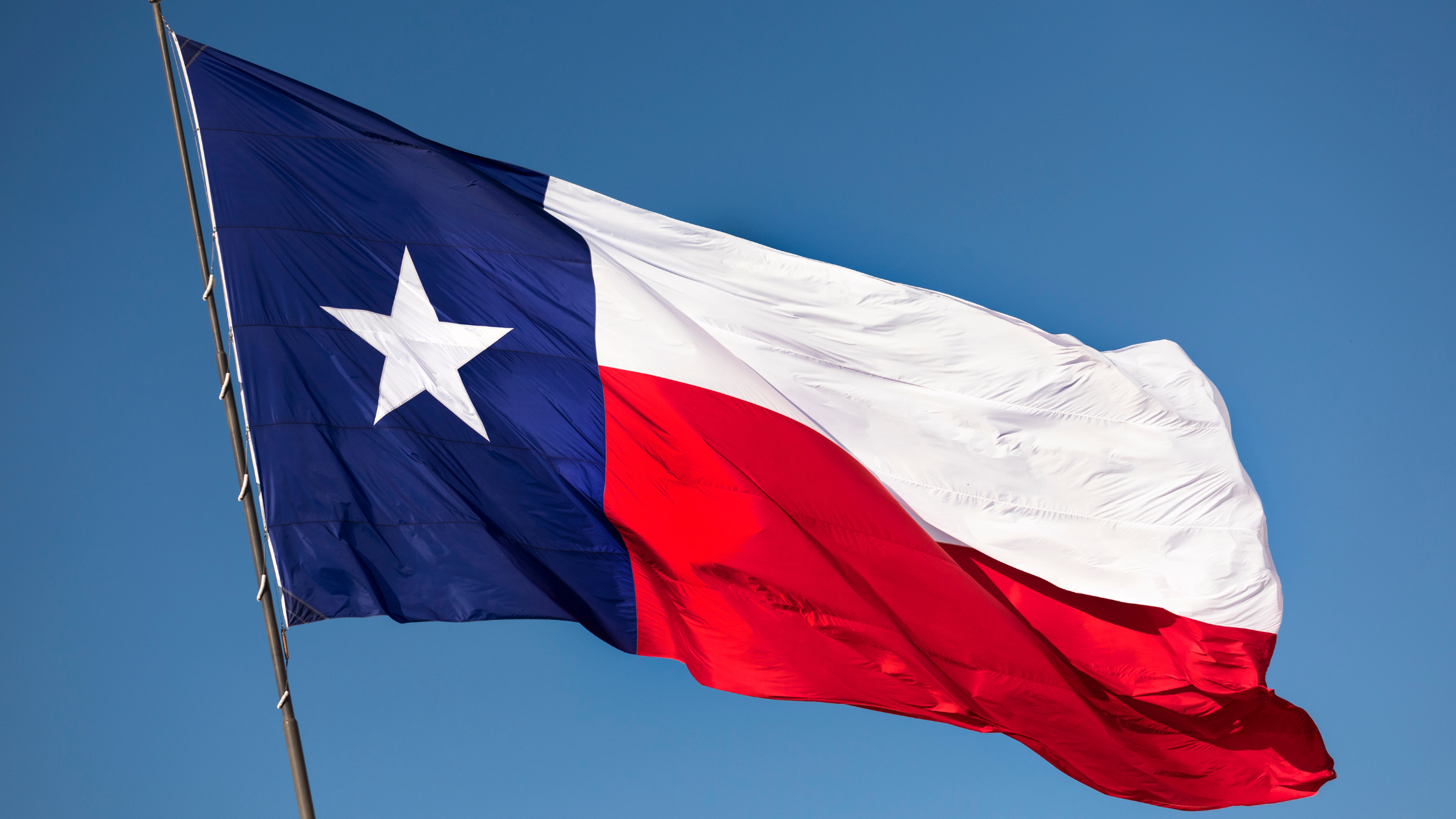 Texas Business Entity Search