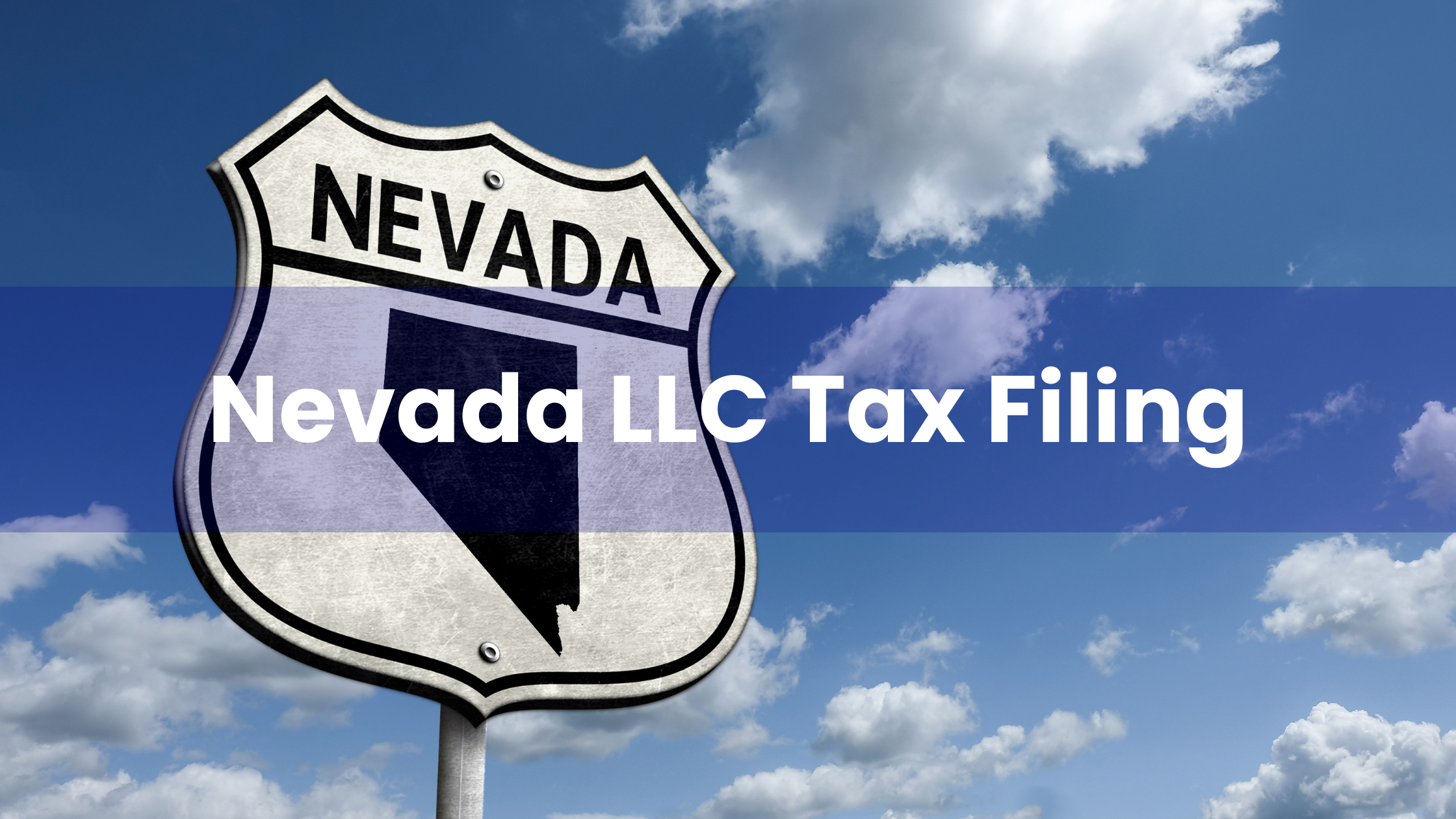 Annual Tax Filing Guide for Nevada LLC Owners